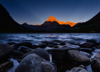 Wildlife group sues to remove Trump photo from 2026 national parks pass
