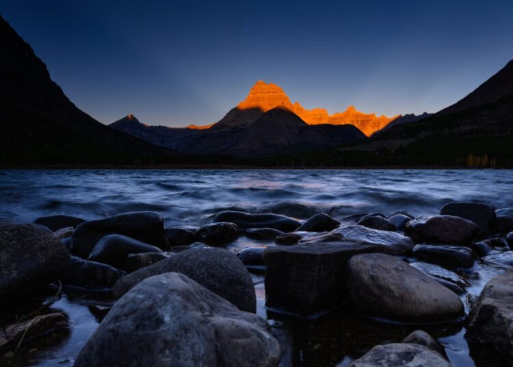 Wildlife group sues to remove Trump photo from 2026 national parks pass