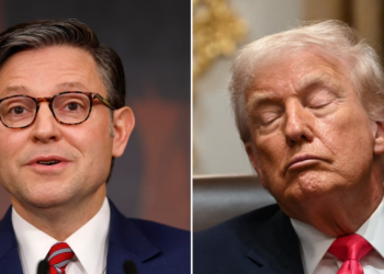 Top Trump Goon Makes Wild Claim About How Much President Works