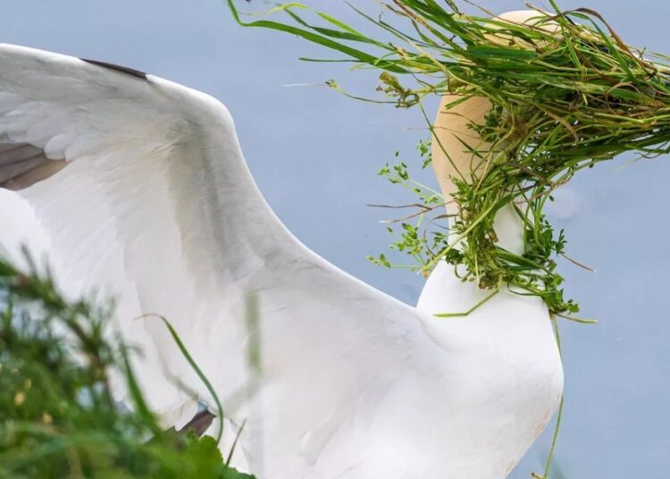 Meet the Winner of Nikon’s Annual Funny Animal Photo Contest