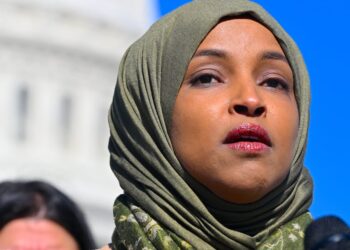 Trump Enemy Reveals Her Son Was Pulled Over by ICE