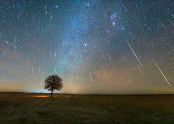 How to Watch the Leonids Meteor Shower