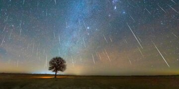 How to Watch the Leonids Meteor Shower