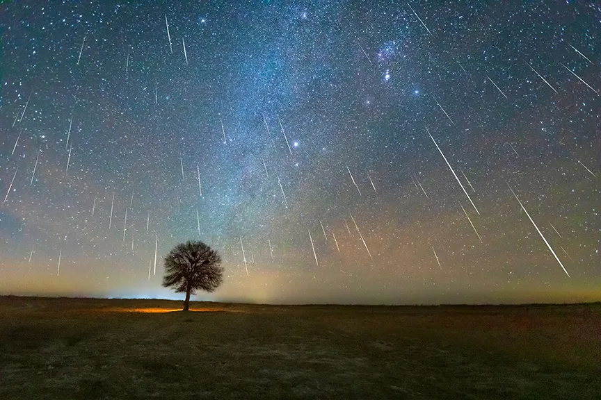 How to Watch the Leonids Meteor Shower