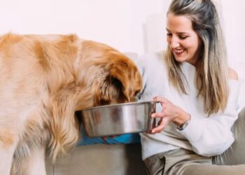 Freshpet’s COO says customers spend more on pets than children: ‘Their dog comes before their partner, their kids’