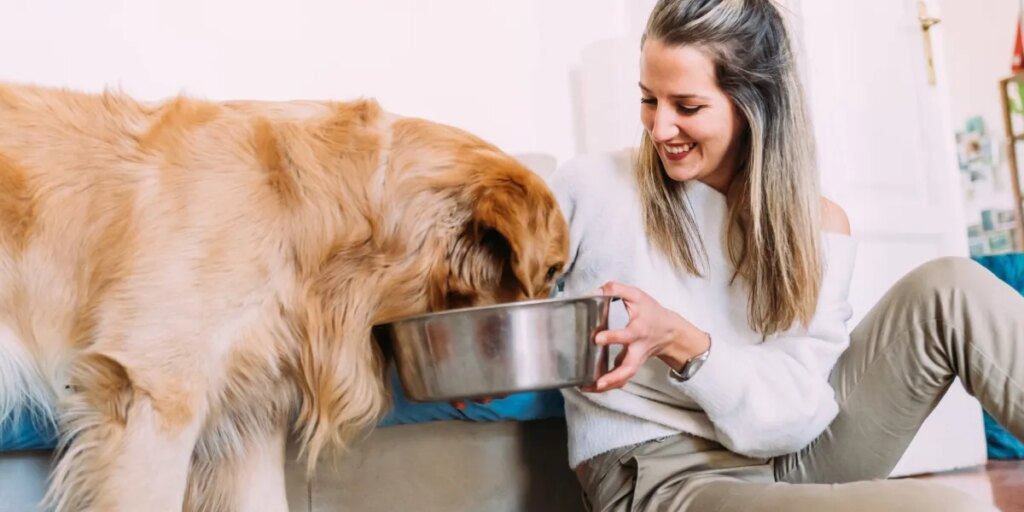 Freshpet’s COO says customers spend more on pets than children: ‘Their dog comes before their partner, their kids’