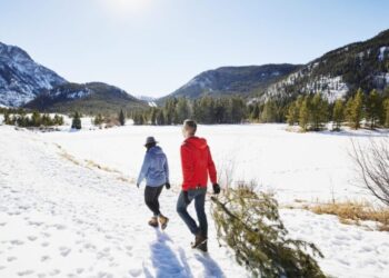 Colorado is suffering from Christmas Tree inflation because Denver imports most of them—from North Carolina and the Pacific Northwest