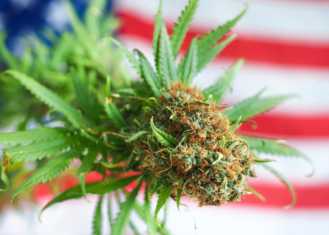 Trump Might Ease Federal Cannabis Restrictions Next Week