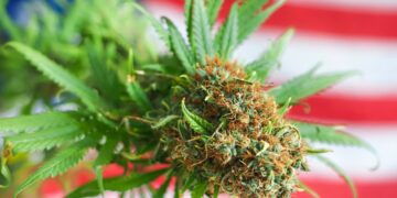 Trump Might Ease Federal Cannabis Restrictions Next Week