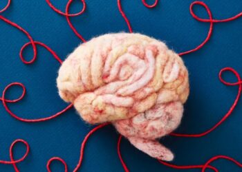 Can you trust your brain?