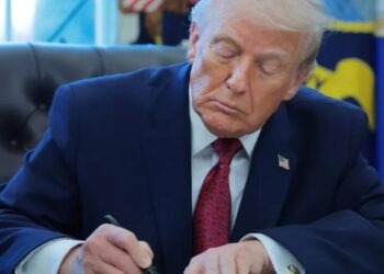 The American voter is angry about one thing above all and Trump’s tariffs are in the crossfire, Goldman’s chief political economist says