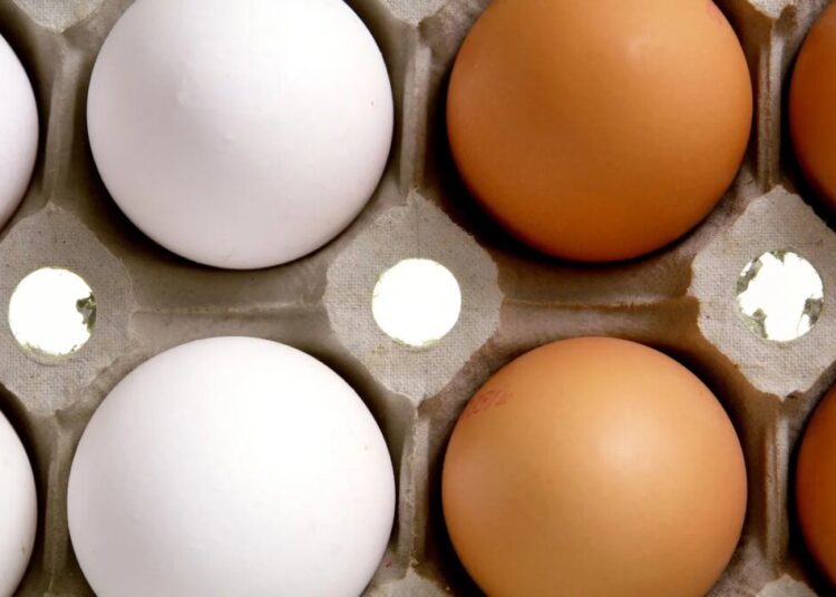 Your Data Might Determine How Much You Pay for Eggs