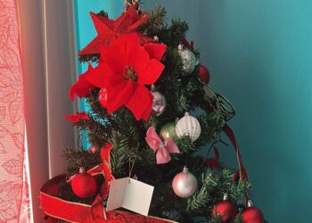 For one migrant family, no Christmas lights in New Orleans