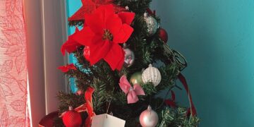 For one migrant family, no Christmas lights in New Orleans