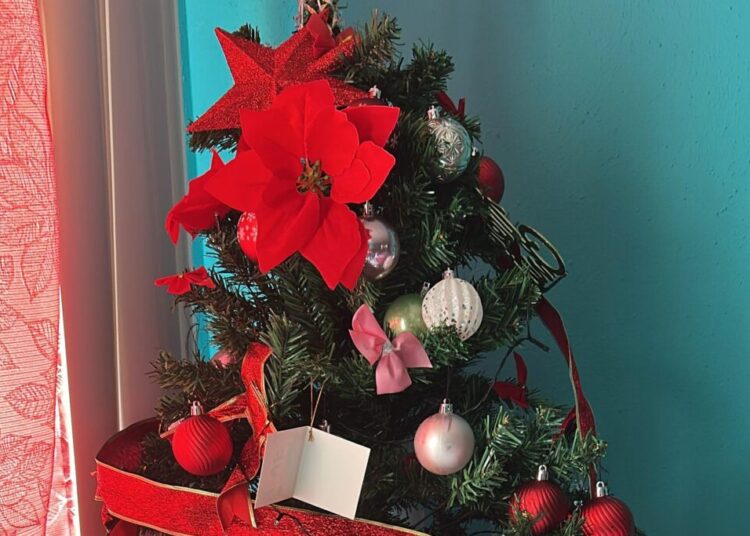 For one migrant family, no Christmas lights in New Orleans