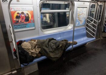 Zohran Mamdani accidentally honors the private sector