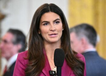 CNN Host Calls Out Trump for Attack on Kaitlan Collins