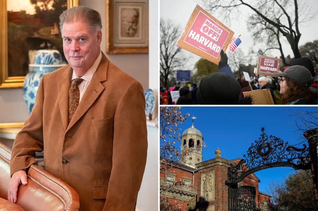 Harvard professor torches Ivy League school over woke anti-white, anti-male culture in blistering essay