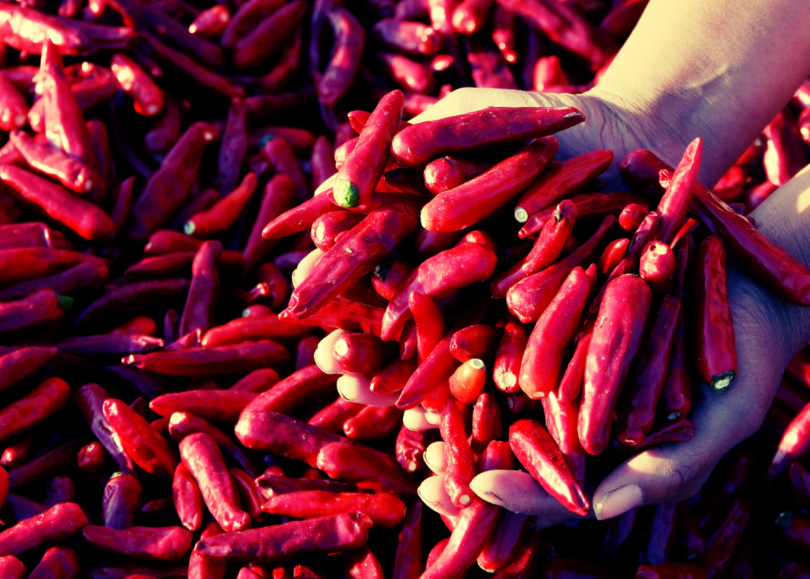 How a Viral ‘Free Peppers’ Post Caused Mass Looting of Farmers’ Fields