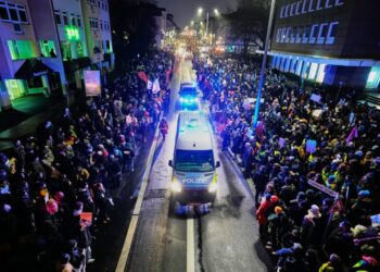 Can Germany stop extremism by banning a far-right party? Some want to try.