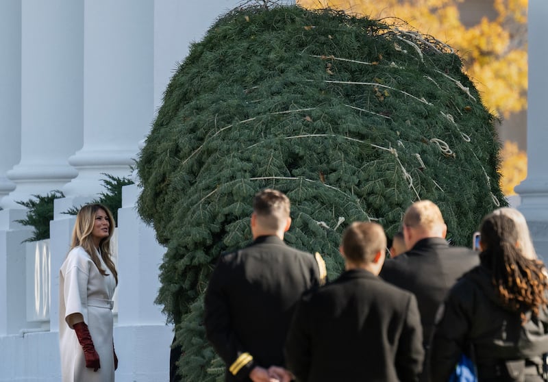 Delivery of the tree