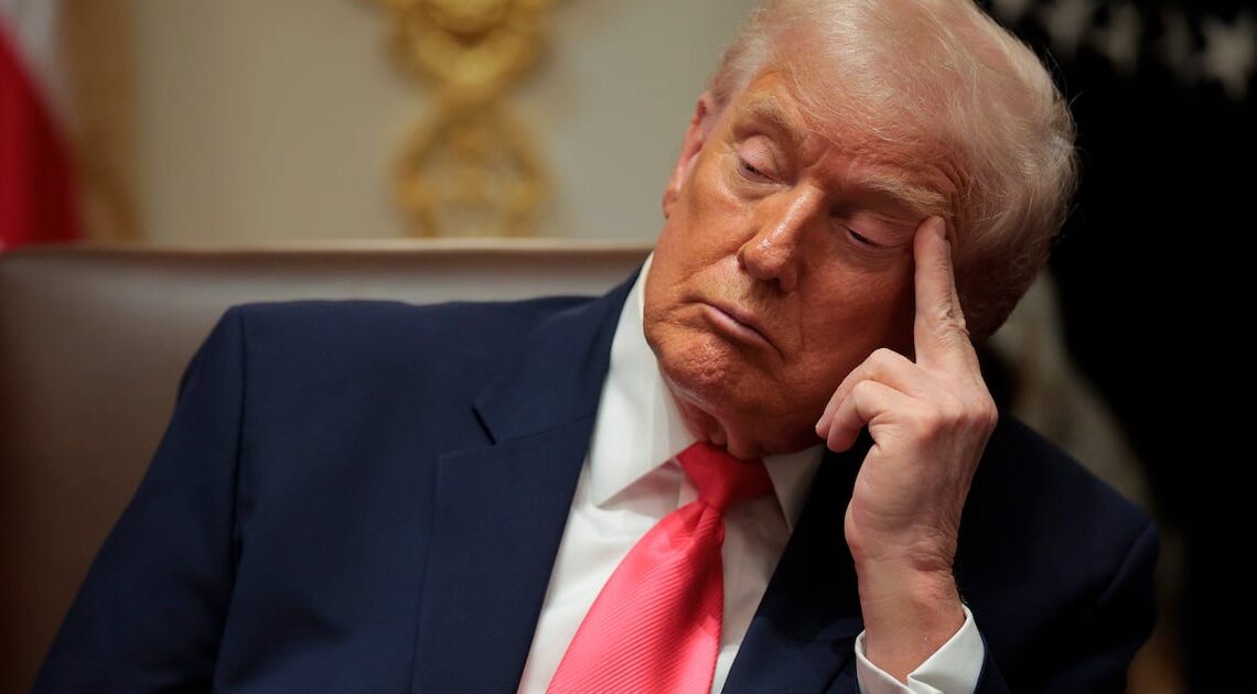 Confused Trump, 79, Accidentally Boosts Anti-MAGA Troll Account