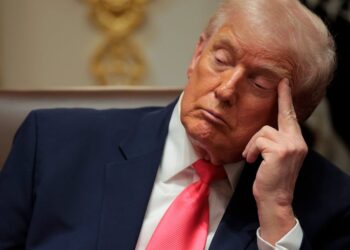 Confused Trump, 79, Accidentally Boosts Anti-MAGA Troll Account