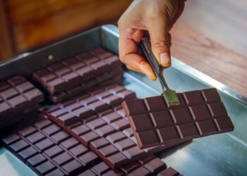 New study sheds light on a beneficial compound found in coffee and chocolate