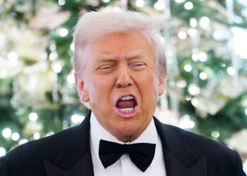 Fox News Host Turns on Trump Over Childish White House Trolling