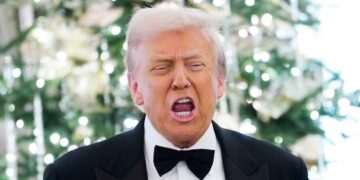 Fox News Host Turns on Trump Over Childish White House Trolling