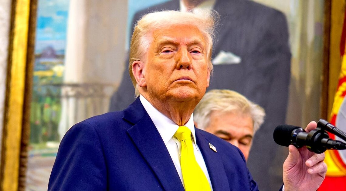 MAGA Turns on Trump Over Deranged Rob Reiner Post