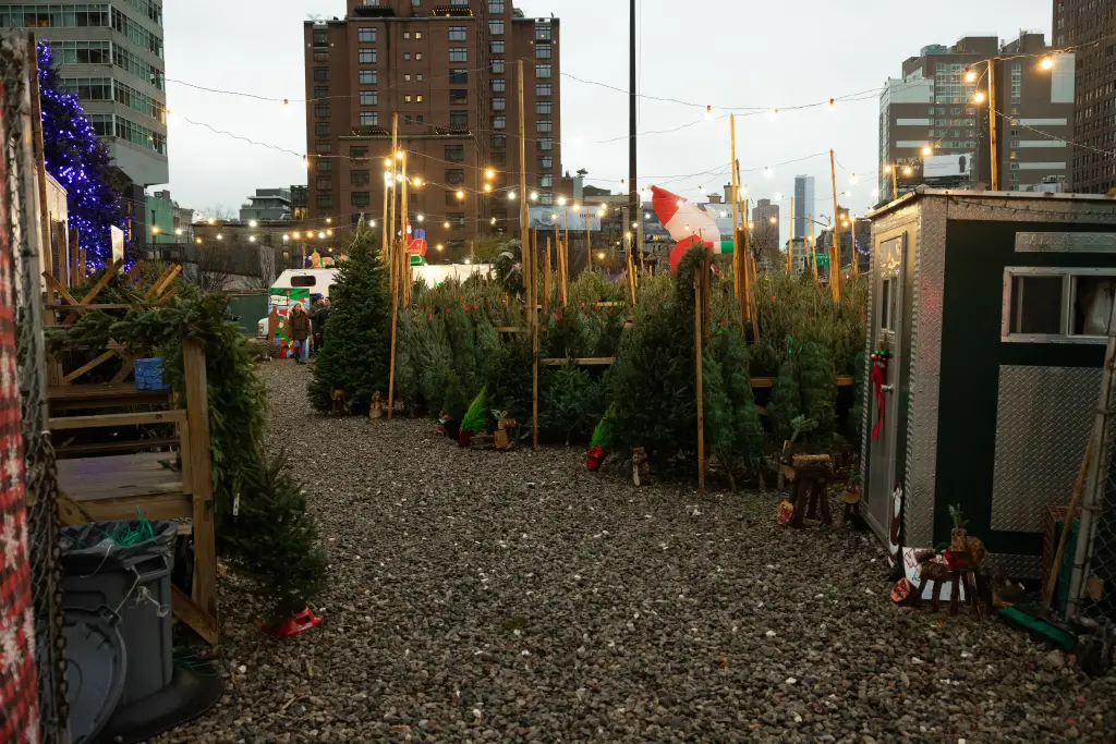 Outdoor Christmas tree market on a gravel lot in SoHo, New York City.