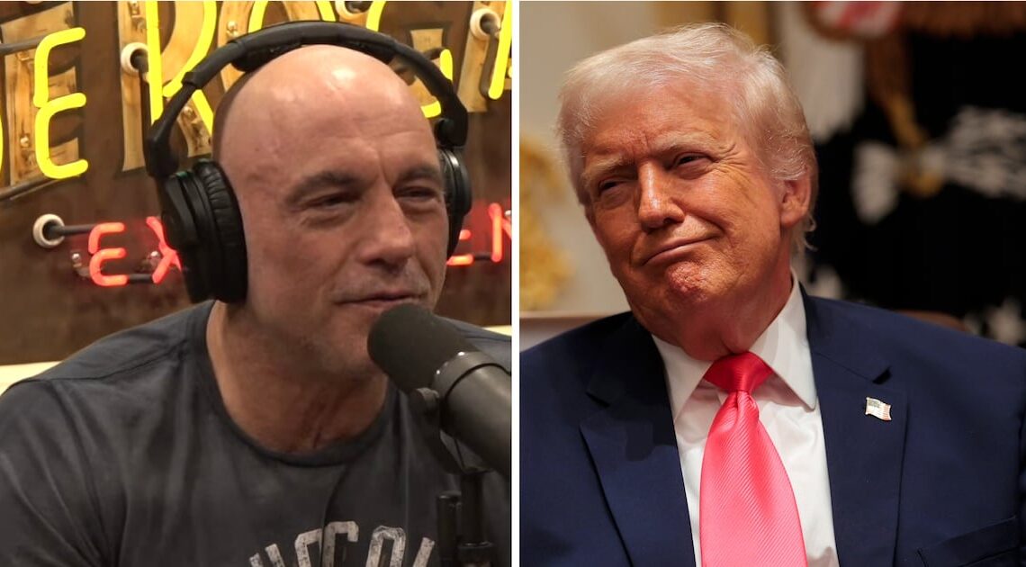 Joe Rogan Shares ‘Odd’ Trump’s Weird Texting Habits