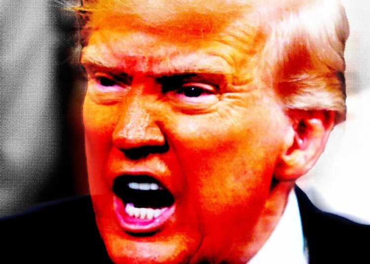 Angry Trump Launches New Power Grab to Go After His Enemies
