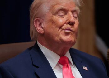 Damning Poll Reveals Americans Struggling to Buy Holiday Gifts Under Billionaire Trump