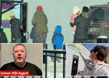 Former Homeland Security agent claims prosecutors ignored Minnesota day care fraud cases: ‘Just evaporated’