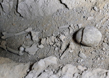 More Than 20 Skeletons Found Under the Tower of London, Including Plague Victims