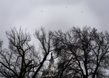 A day after Christmas, five after solstice, all seemed gray