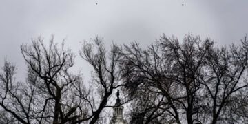 A day after Christmas, five after solstice, all seemed gray