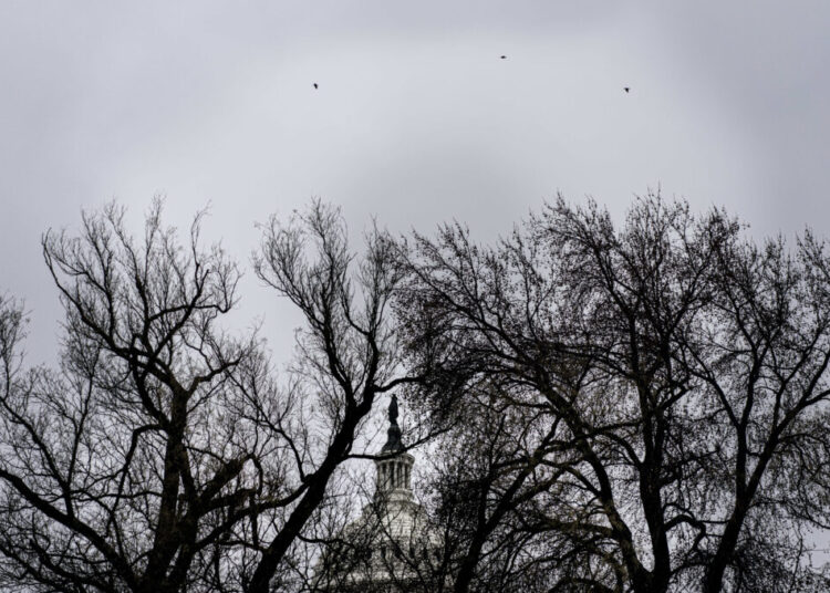A day after Christmas, five after solstice, all seemed gray