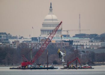 Government admits failures by Army and air traffic controllers in DCA crash