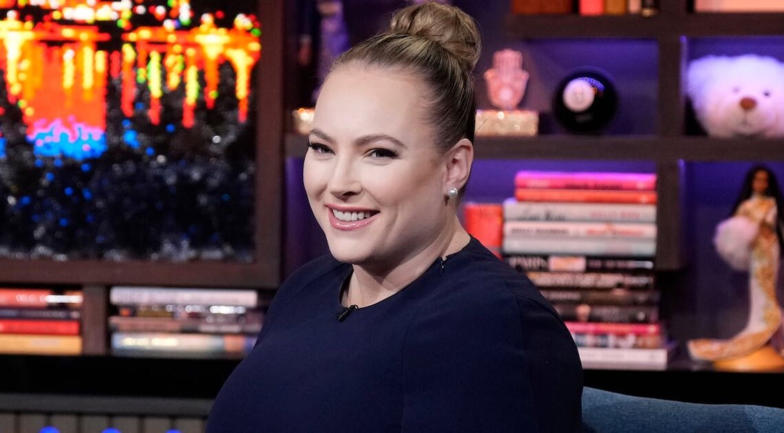 Pregnant Meghan McCain Burns Tucker Carlson for Fat Comments on His Show