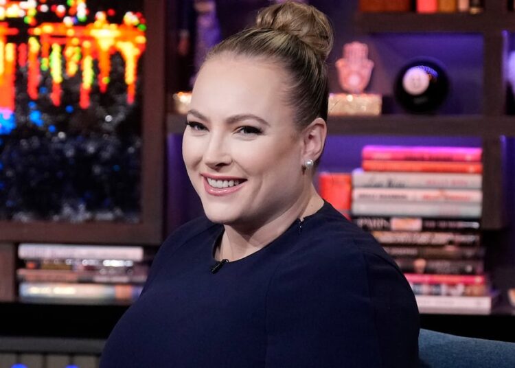 Pregnant Meghan McCain Burns Tucker Carlson for Fat Comments on His Show