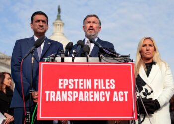 The Epstein files fiasco was completely foreseeable