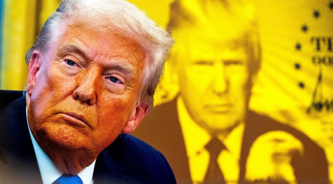 Applicants for Trump’s Tacky Gold Card Warned of Million-Dollar Problem