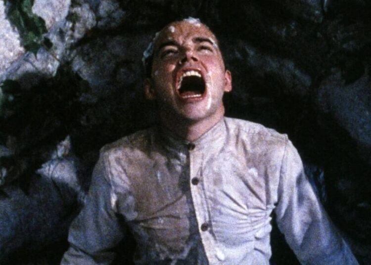 Letterboxd to Launch Movie Rental Digital Platform Later This Week