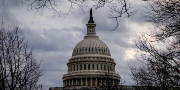 DOGE Isn’t Dead. Here’s What Its Operatives Are Doing Now