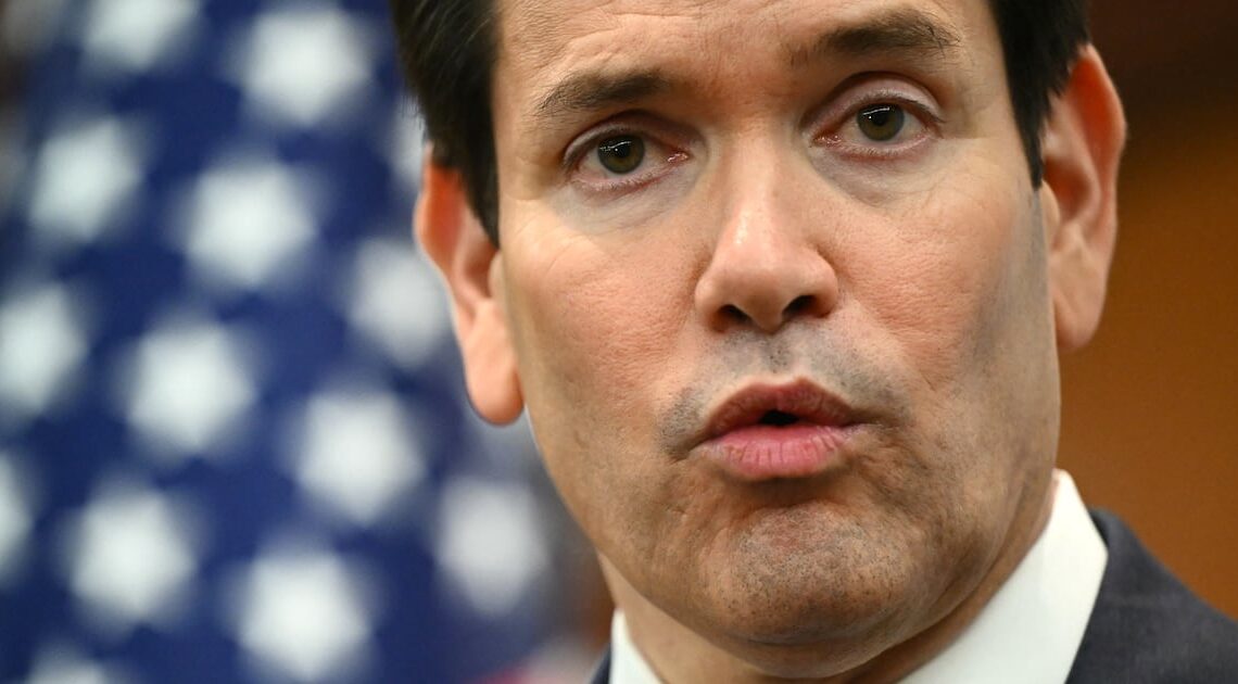 Designer Laughs at Little Marco’s Meltdown Over His ‘Woke’ Typeface