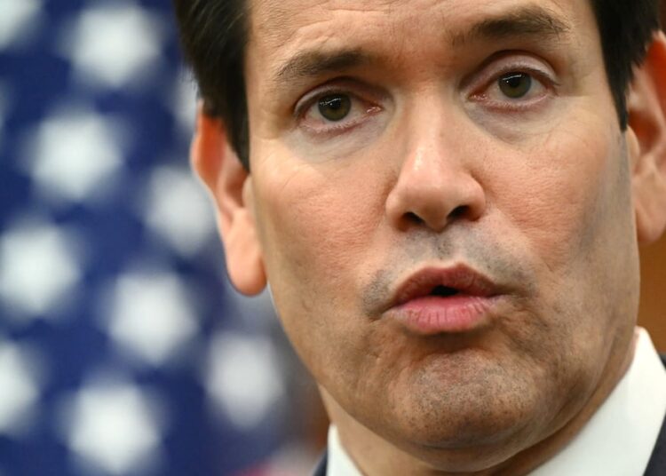 Designer Laughs at Little Marco’s Meltdown Over His ‘Woke’ Typeface