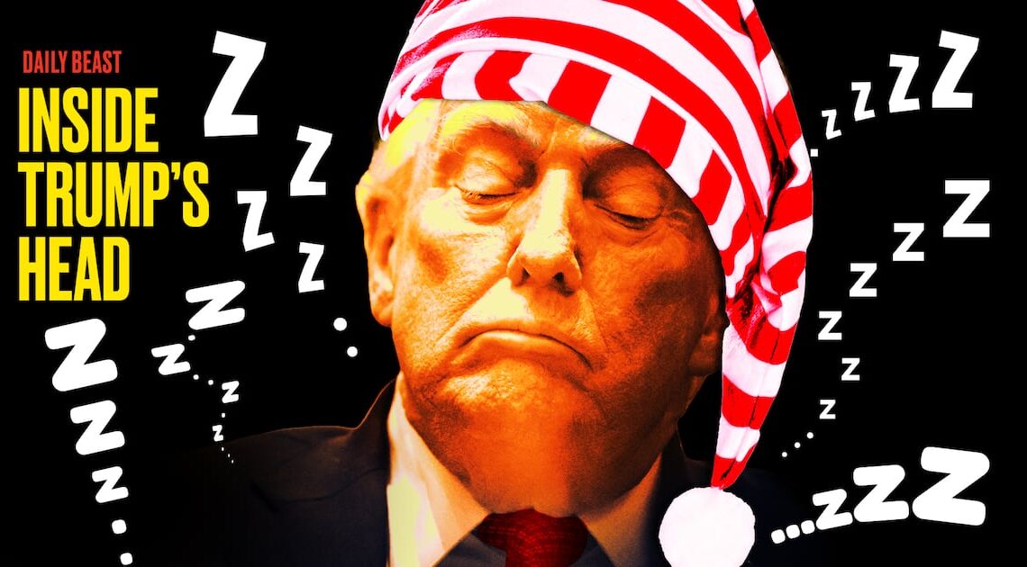 Why Sleepy Trump, 79, Is Really Panicking Aides: Wolff